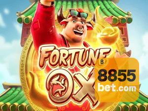 Download 8855BET Windows