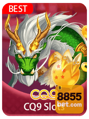 Promoções 8855BET